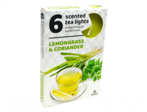 Sv.Cajova aromatická (bal.6) 11gr/4hod Lemongrass 338