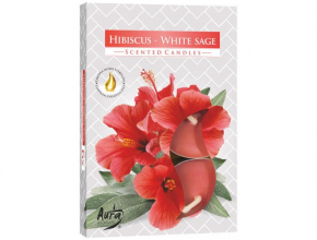 Sv.Cajova aromatická (bal.6) 11gr/4hod P15-356 Hibiscus-salvia