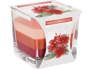 Sv.Sklo SNK80-356 Sviecka vonava 170gr/32hod. Hibiscus-White sage