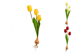 Umelý tulipán s cibuľkou