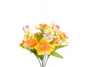 Kytička narcis, krokus s doplnkom x 7