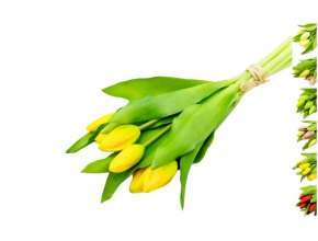 Umelá kytica pogumovaných tulipánov x 7