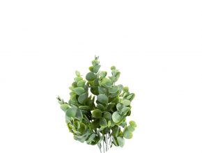 Umelá kytica eukalyptus x 7