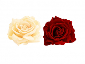  Umelé hlavy kvetov - vencovka RUŽA ZAMATOVÁ (bal.6) CH070 