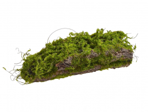 Dekorácia umelá kôra s machom 29 cm - 263CAN21A32 