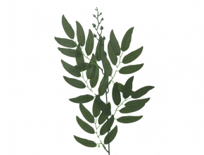 Umelý list Ruscus G-038 CENA ZA KUS