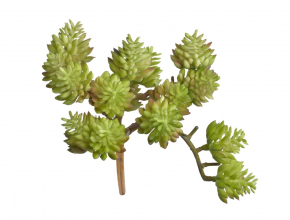 Umelý sukulent SEDUM 271CAND-4090-9-34 
