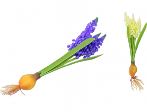Umelá kytička modrica (Muscari) s cibuľkou x 3 CV32910 -MIX