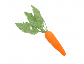 Dekoračná mrkva WIPK-3-11628-24 