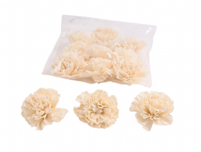 Sušina - kvet karafiát 6 cm (1bal.) TR10077
