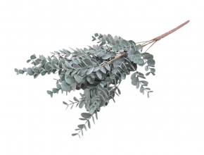 Umelá kytica /trs eukalyptus poprášený x 6 CV32210 