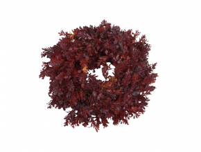  Veniec krušpán 30 cm 91CAN17-097-05