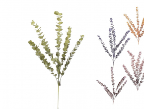 Konár eukalyptus 82 cm CV15686-MIX 