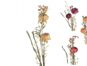 Konar jeseň rannuculus KWI-79-01995-24 