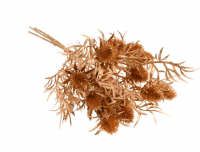 Umelá kytica / trs zlatý bodliak x3 CH175