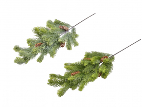 Umleý konár čačina, šišky CV20719 - MIX