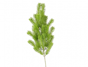 Umelý konár čačina 60 cm CV37531