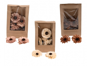 Dekoračná sušina - sušená gerbera 8 cm (1bal.) 11794-MIX