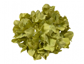 Umelé hlavy kvetov - vencovka HORTENZIA A8524-3 (bal.6) 