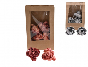 Dekoračná sušina – sušená pivónia 8 cm (1bal.) 11617 -MIX