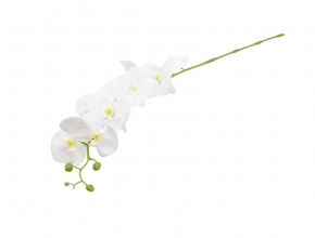Umelá orchidea biela 90 cm CV31287-1