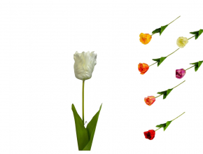 Umelý tulipán 64 cm CV15044-MIX 