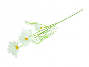 Umelý konár margarétka x3 CV34801