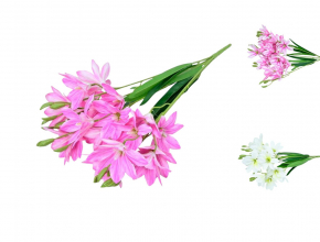 Umelá kytica ľalia x 5 CV34944 -MIX