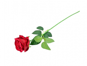 Zamatová ruža na stopke 50 cm CV34916 