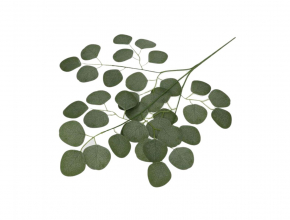 Umelá vetva eukalyptus CENA ZA KUS CV38779 