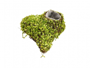 Prútený obal srdce s otvorom FD106 