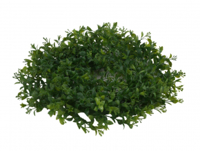 Veniec krušpán 30 cm A7382