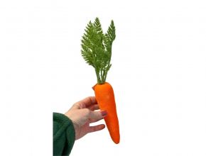 Veľká dekoračná mrkva WIPK-3-11627-24