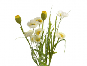 Umelý konár mak biely 53 cm AGS399