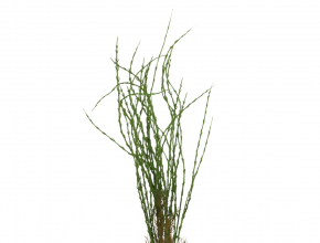 Umelý trs / kytica vŕba x6 25KW435 