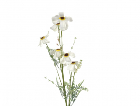 Umelý konár Kosmos / Krasuľka biela BMG435 