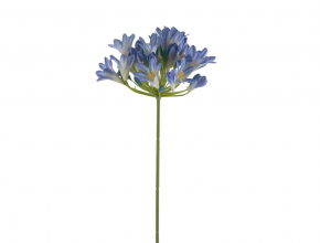 Umelý Agapanthus modrý 72 cm BMG307 
