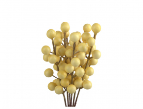 Doplnok žlté bobule zväzok ILY125 