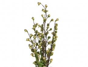 Umelý konár zelené bobule 56cm AGS365