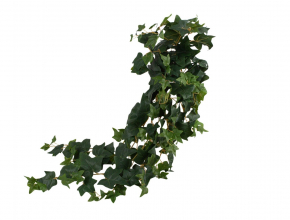 Umelá ťahačka brečtan AB-026 