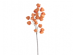Umelý konár Physalis 100 cm 163CAN230076-F02 