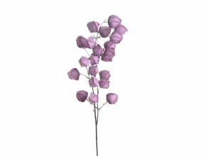 Umelý konár Physalis 100 cm 163CAN230076-G01