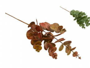 Umelý konár eukalyptus x4 59 cm BV08069-MIX