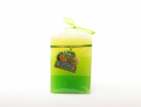 Sv.Green Tea Pudding 70x90 hranol Sviecka 410gr