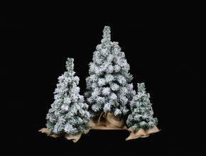 Zasnežený vianočný stromček v jute 60cm