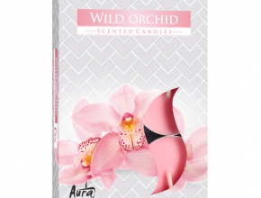 Sv.Cajova aromatická (bal.6) 11gr/4hod P15-170 Wild orchid