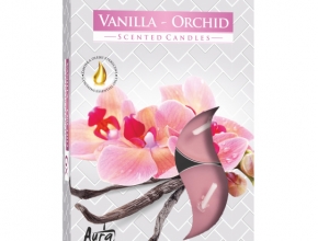 Sviečka čajová aromatická (bal.6) 11gr/4hod P15-184 Vanil.-orchid