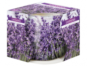 Sv.Sklo SN71S-09 Sviecka vonava 100gr/20hod Lavender