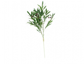R.8KL769 Konar oliva 100cm