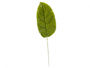 Umelý list Calathea 